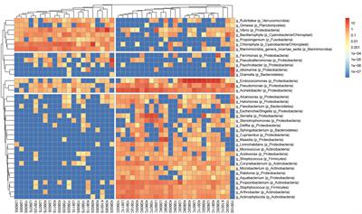 <mark class="highlighted">Long-Term Survey</mark> Is Necessary to Reveal Various Shifts of Microbial Composition in Corals
